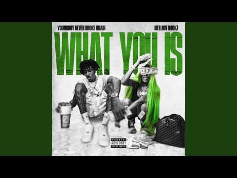 What You Is