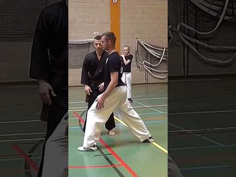 Pencak Silat
