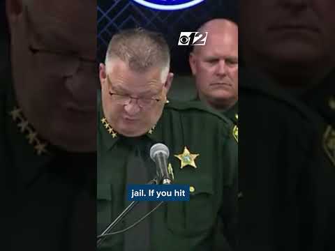 'WE'RE NOT GONNA PLAY' Florida sheriff's warning to ICE protestors about Los Angeles-style violence