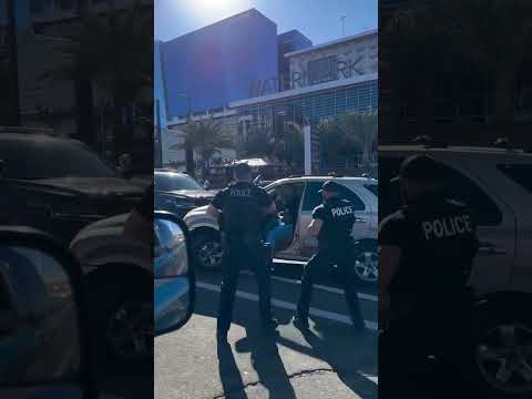 Caught on Camera: Ice Immigrant Pulled Out of Car