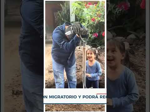 Hombre llora al recibir noticia migratoria que le permite volver a su casa | Noticias EstrellaTV